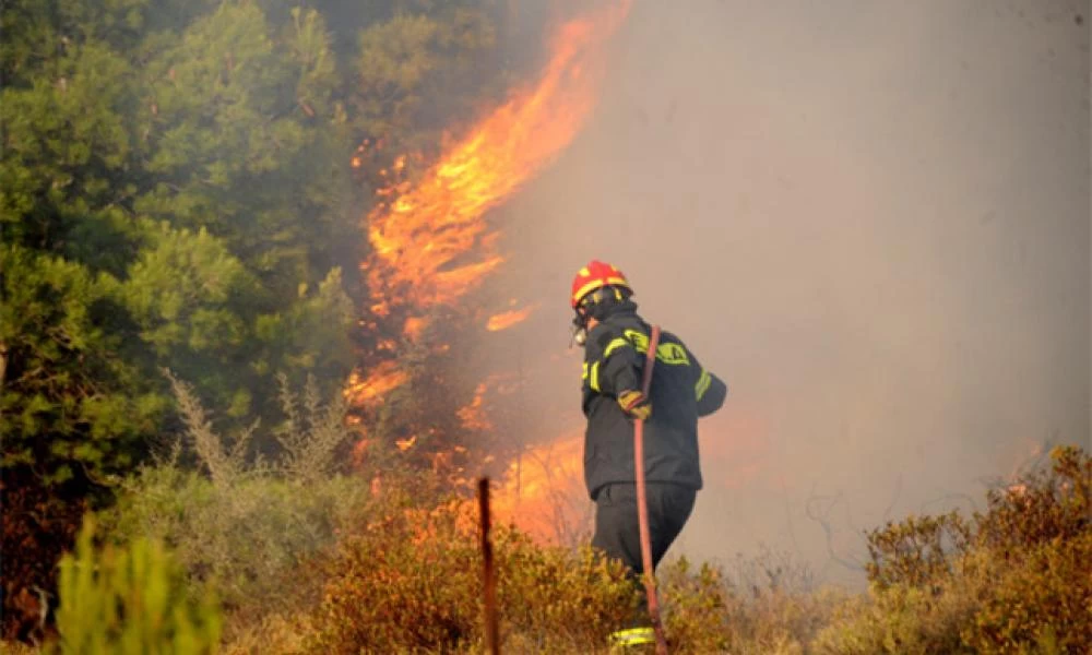 Συναγερμός στην Πυροσβεστική: Πυρκαγιά ξέσπασε στην Εύβοια